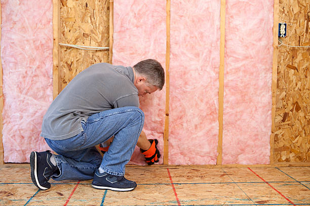 Best Geographic-Specific Insulation Services in Coolidge, AZ